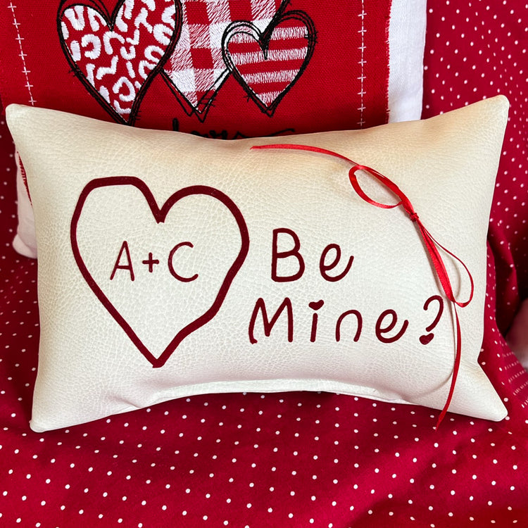 Valentines Day gift pillows
